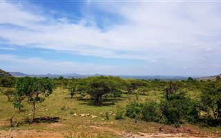 12.6 ha Farm in Palmietfontein