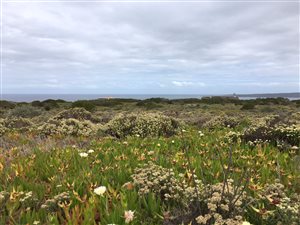 2014 m² Land available in Springerbaai Eco Estate