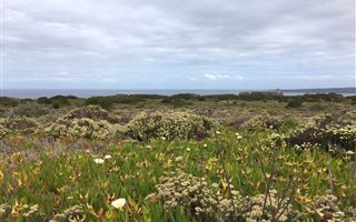 2014 m² Land available in Springerbaai Eco Estate