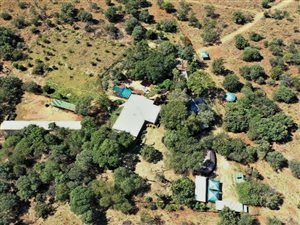 21 ha Farm in Modimole (Nylstroom)