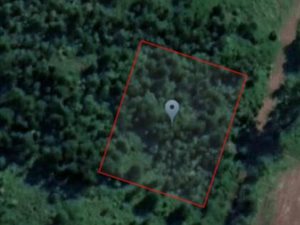 2010 m² Land available in Richmond