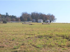 1517 m² Land available in Howick