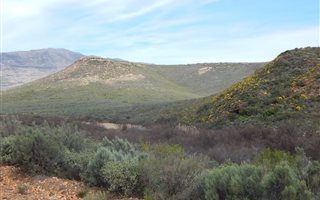 27 ha Farm in Barrydale