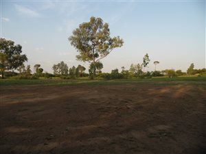 3.6 ha Land available in Riversdale