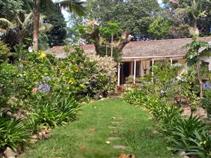 1 ha Smallholding in Uvongo