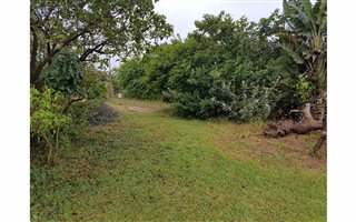 1426 m² Land available in Tinley Manor and surrounds