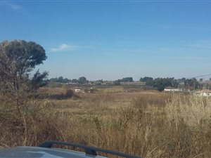 1 ha Land available in Denneoord