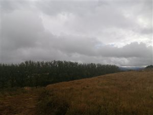 6 m² Land available in Himeville