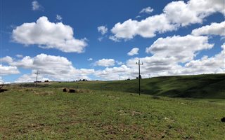 233 ha Land available in Mooi River