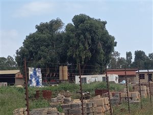 1.6 ha Land available in Meyerton