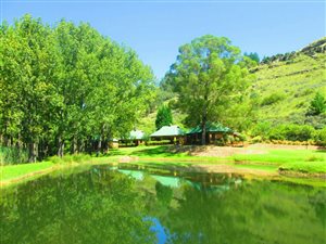 136.4 ha Farm in Dullstroom
