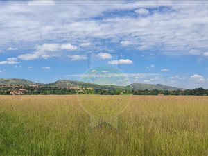 Farm in Hartbeespoort Dam