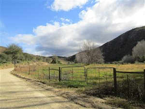 2.2 ha Land available in Calitzdorp