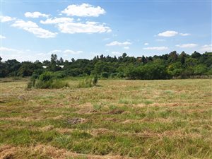 9959 m² Land available in Chartwell