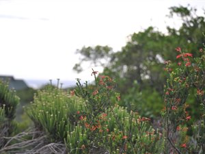 600 m² Land available in Gamtoos Mouth