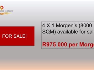 8000 m² Agricultural Holding in Ivydale