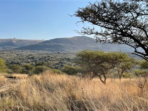 31.4 ha Land available in Hilton