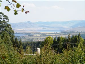 20 ha Farm in Currys Post
