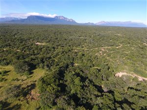 143 ha Farm in Hoedspruit