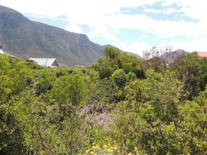 600 m² Land available in Bettys Bay