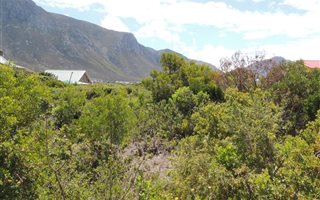 600 m² Land available in Bettys Bay