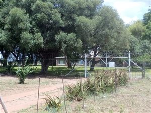 512 ha Farm in Makhado (Louis Trichardt)