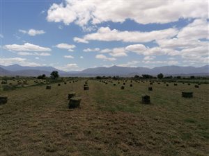 22.7 ha Farm in Calitzdorp