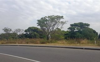 11836 m² Commercial space in Bonela