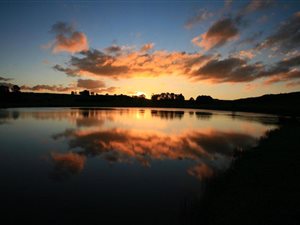 367 ha Farm in Dullstroom