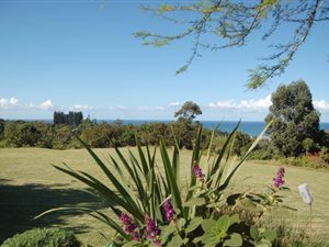 107 ha Farm in Ramsgate