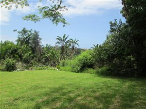 3956 m² Land available in Southbroom
