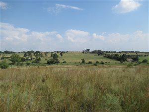 5.3 ha Farm in Laezonia