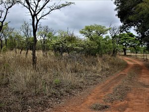 21.4 ha Farm in Boekenhoutskloof and surrounds