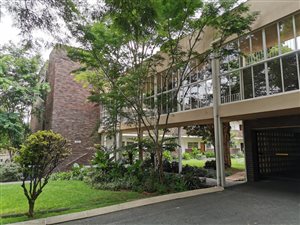 1 Bed Apartment in Orchards