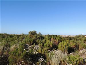 1017 m² Land available in Bettys Bay