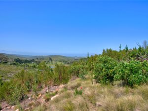 8.6 ha Farm in Robberg