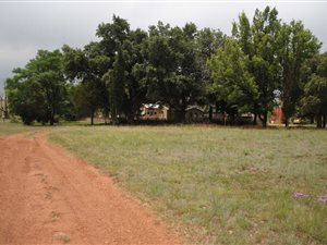 8 ha Farm in Nelsonia