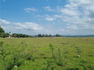 3.6 ha Land available in Hutten Heights
