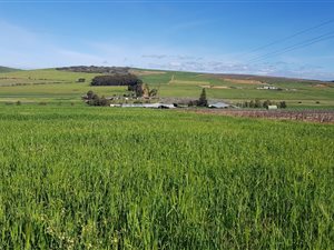 804 ha Farm in Paarl