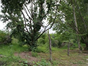 8600 m² Farmland in Craigavon