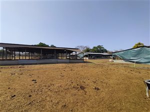 5 ha Farm in Empangeni