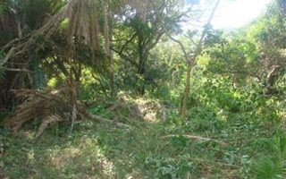 1811 m² Land available in Clansthal
