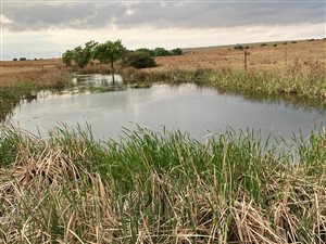 102 ha Farm in Klipkop
