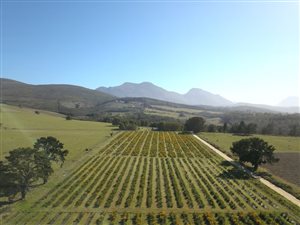27 ha Farm in Mossel Bay Central