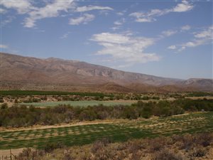 1500 ha Farm in Prince Albert