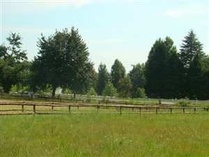 2121 m² Land available in Underberg
