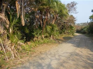 1750 m² Land available in Glenmore