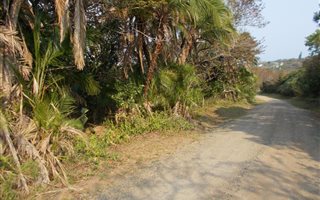 1750 m² Land available in Glenmore
