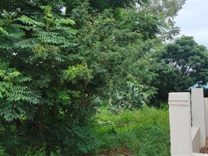 646 m² Land available in Cullinan