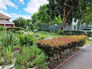 3 Bed Apartment in Plumstead